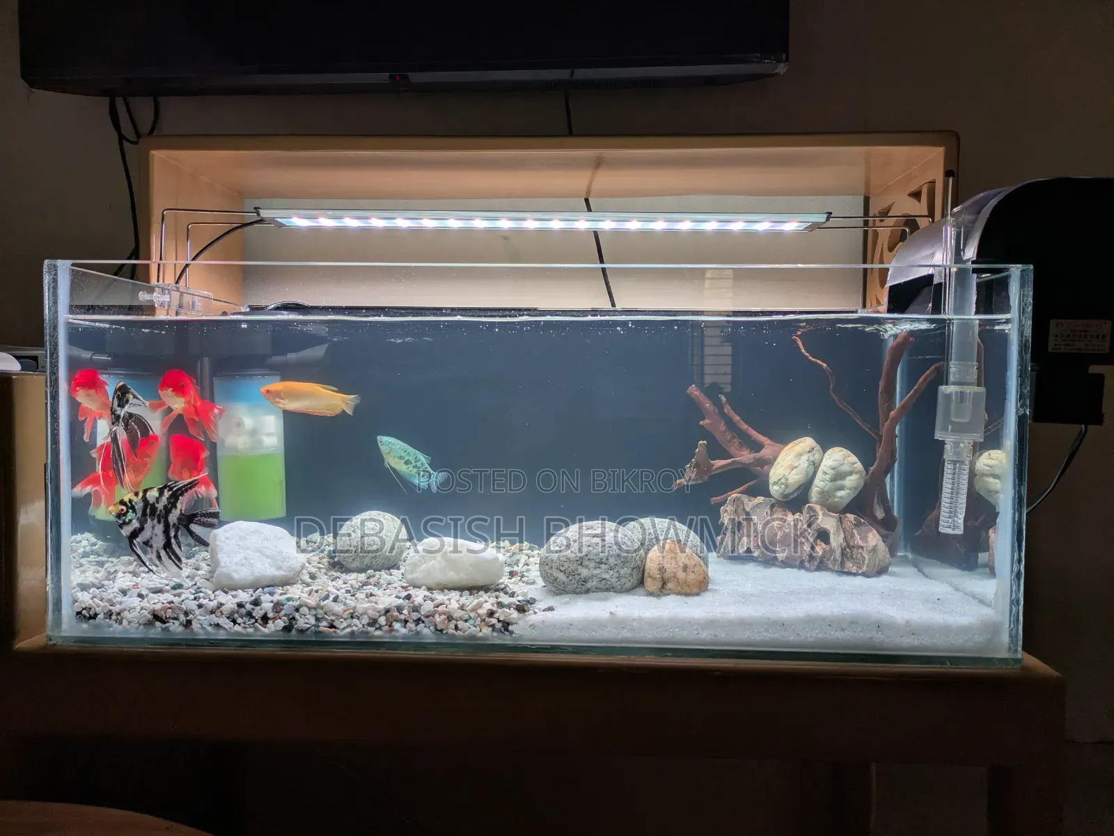 30" Crystal Glass Aquarium