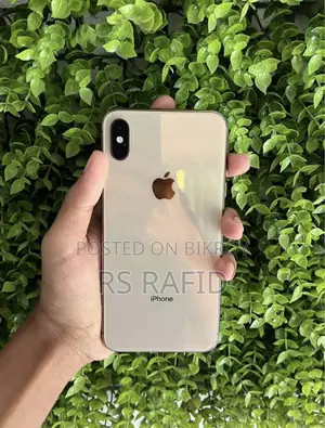 Apple iPhone XS Max 256 GB গোল্ড