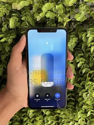 Apple iPhone XS Max 256 GB গোল্ড