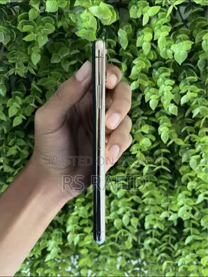 Apple iPhone XS Max 256 GB গোল্ড