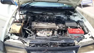 Toyota Corolla 1994 White