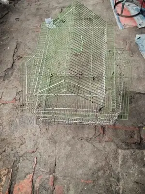 Bird Cages