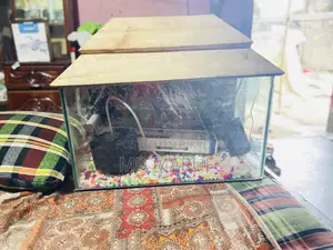 Aquarium Full Set Up