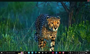 Desktop Computer 8GB Intel Core I5 SSD 256GB