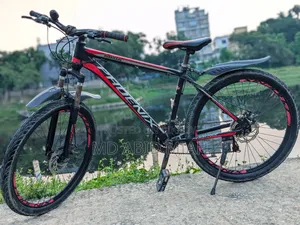 Phoenix Hurricane Bicycle
