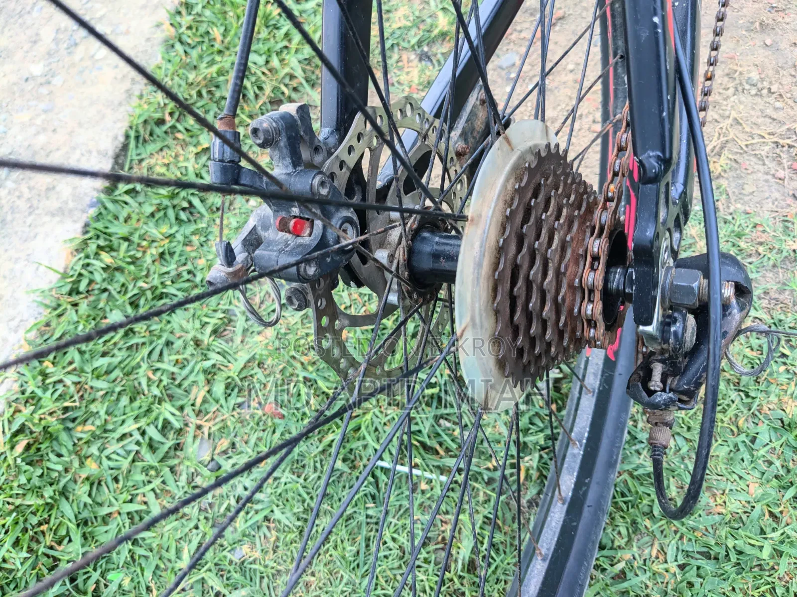 Phoenix Hurricane Bicycle