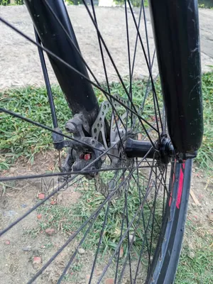 Phoenix Hurricane Bicycle