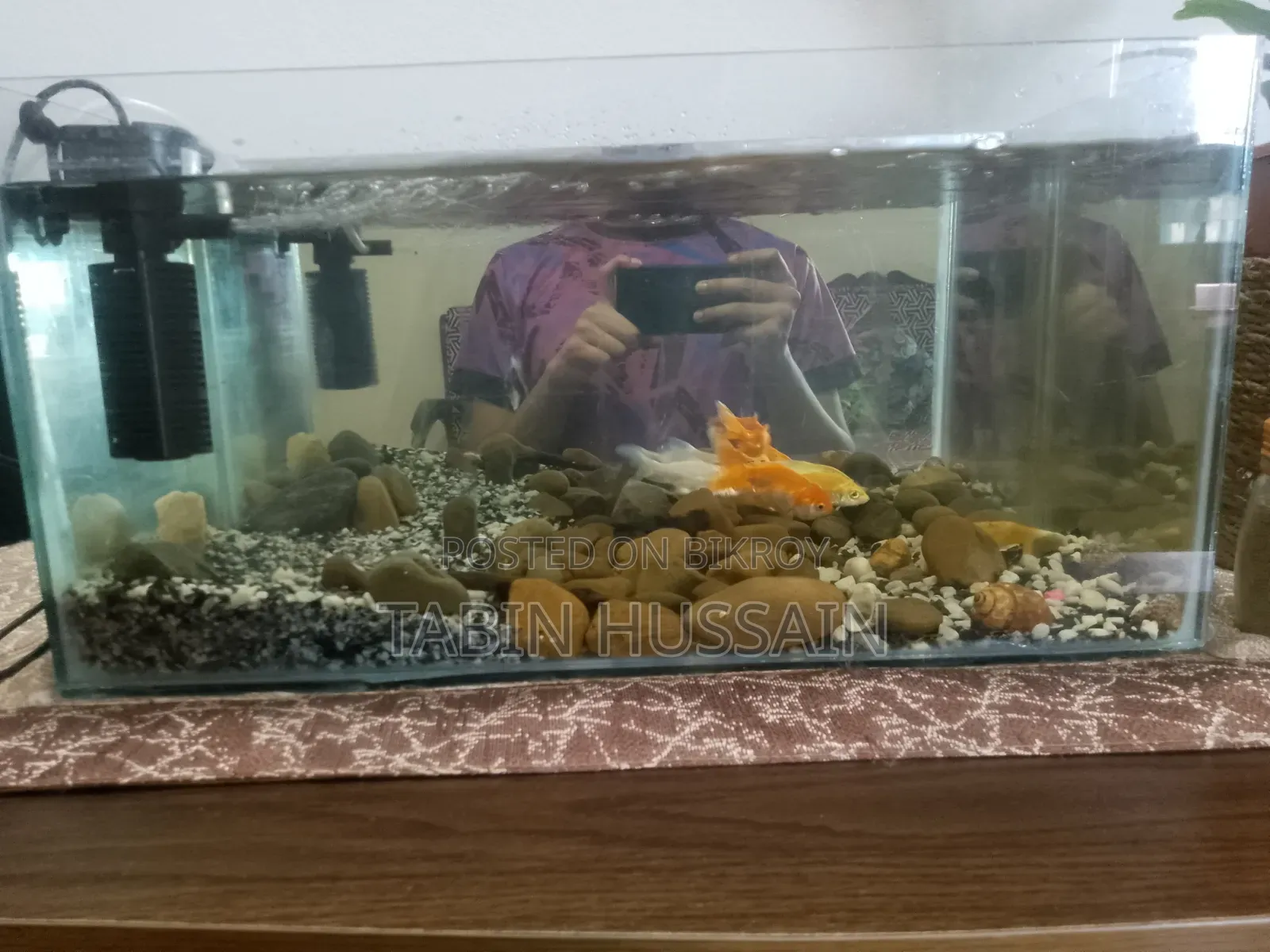 1.5 Feet Fish Tank Full Setup