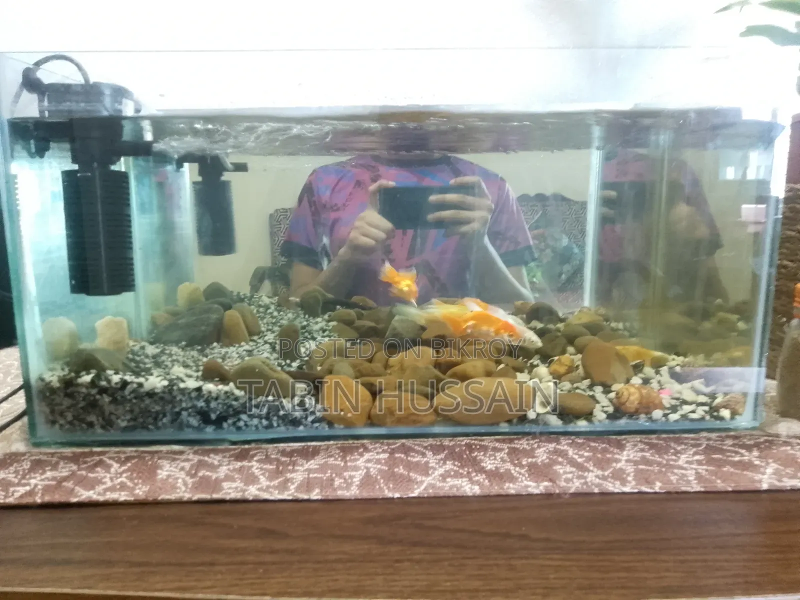 1.5 Feet Fish Tank Full Setup