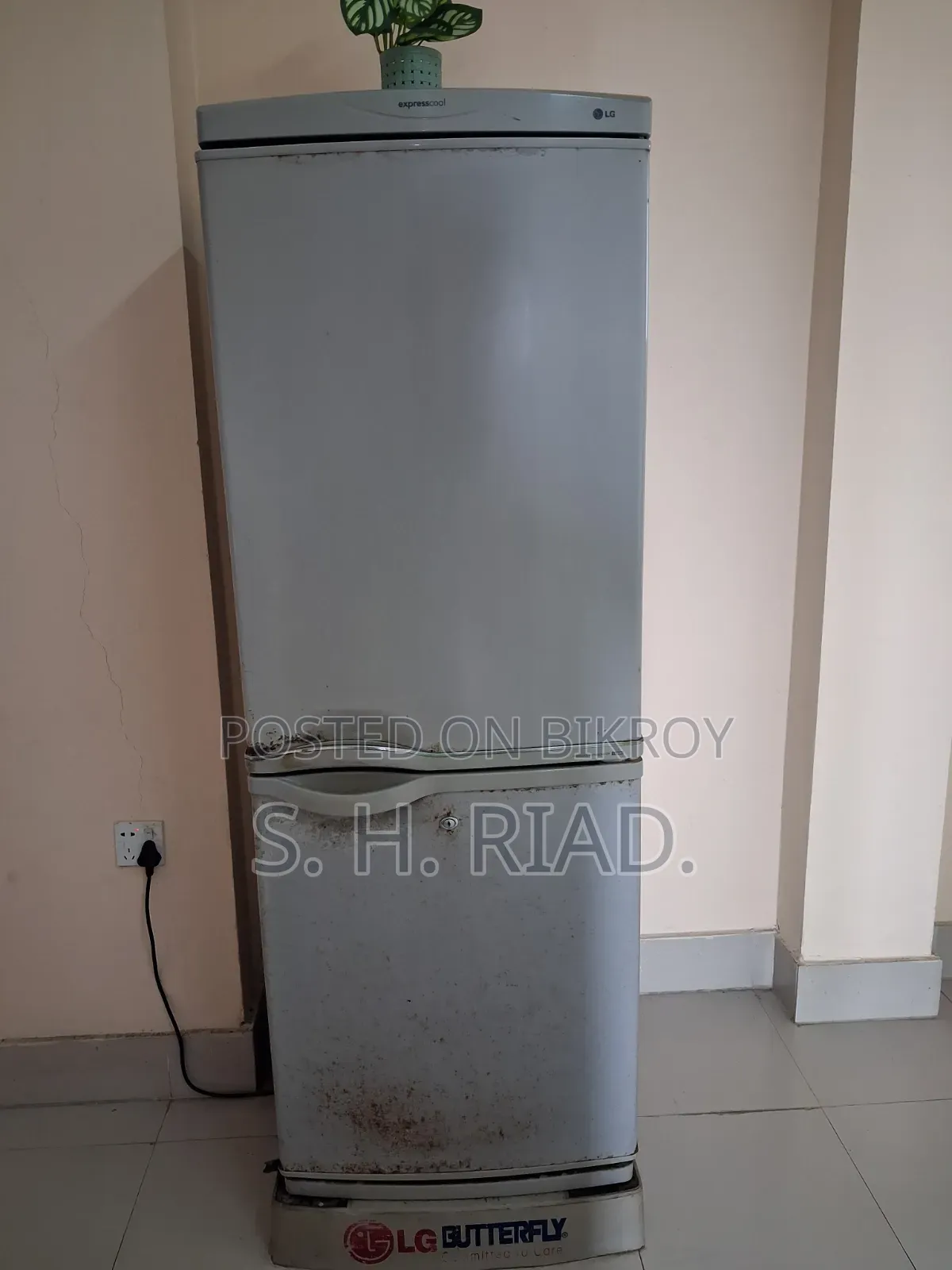 Lg Refrigerator
