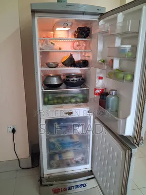 Lg Refrigerator