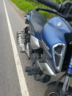 Yamaha FZ 2024 Blue