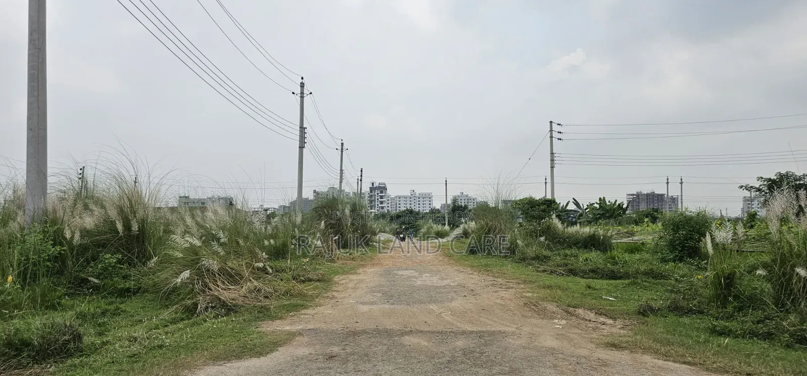 Sector 17/F Road 1/A Plot