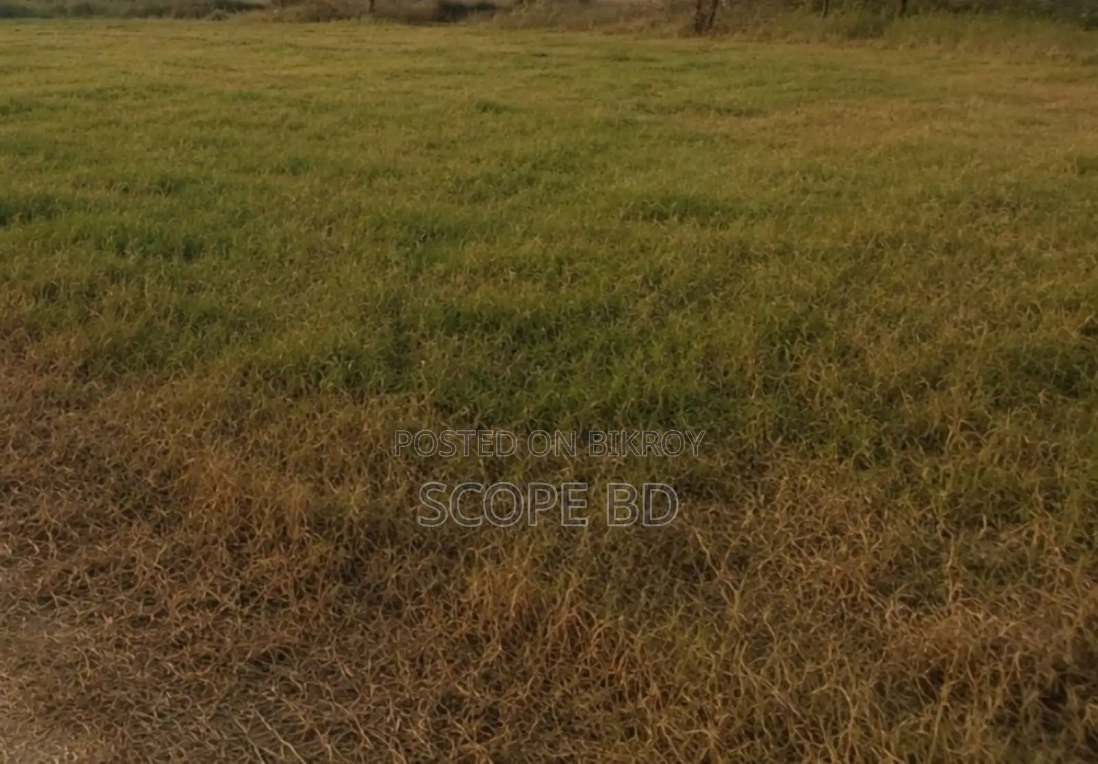 জমি বিক্রয়