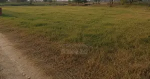 জমি বিক্রয়