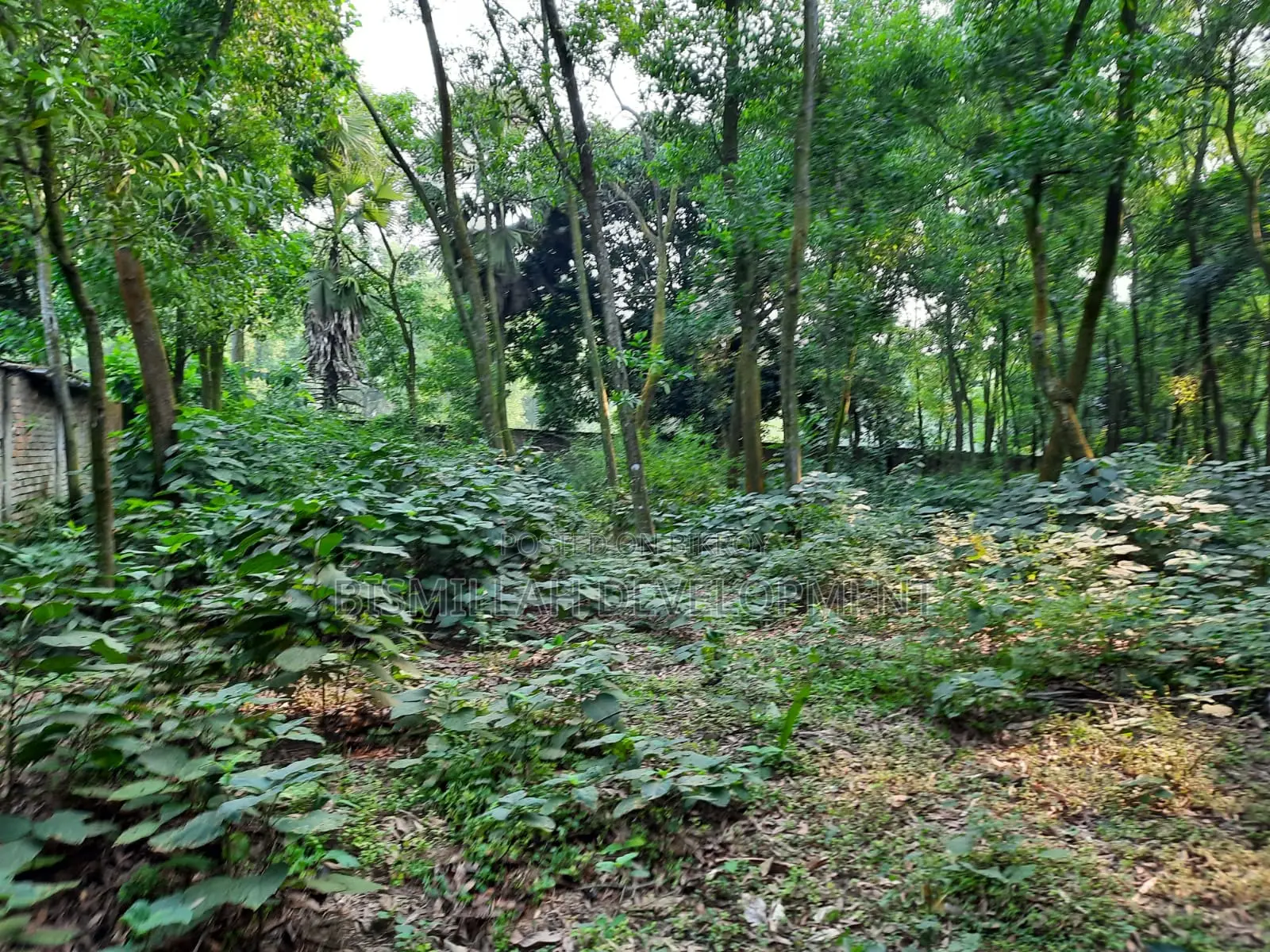 Plot Sale at Bashundhara R/A
