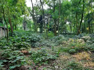 Plot Sale at Bashundhara R/A