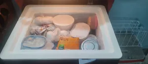 Electra Freezer 100L