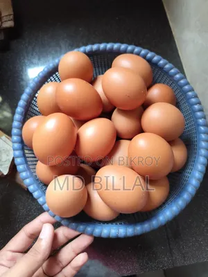 লাল লেয়ার মুরগির ডিম