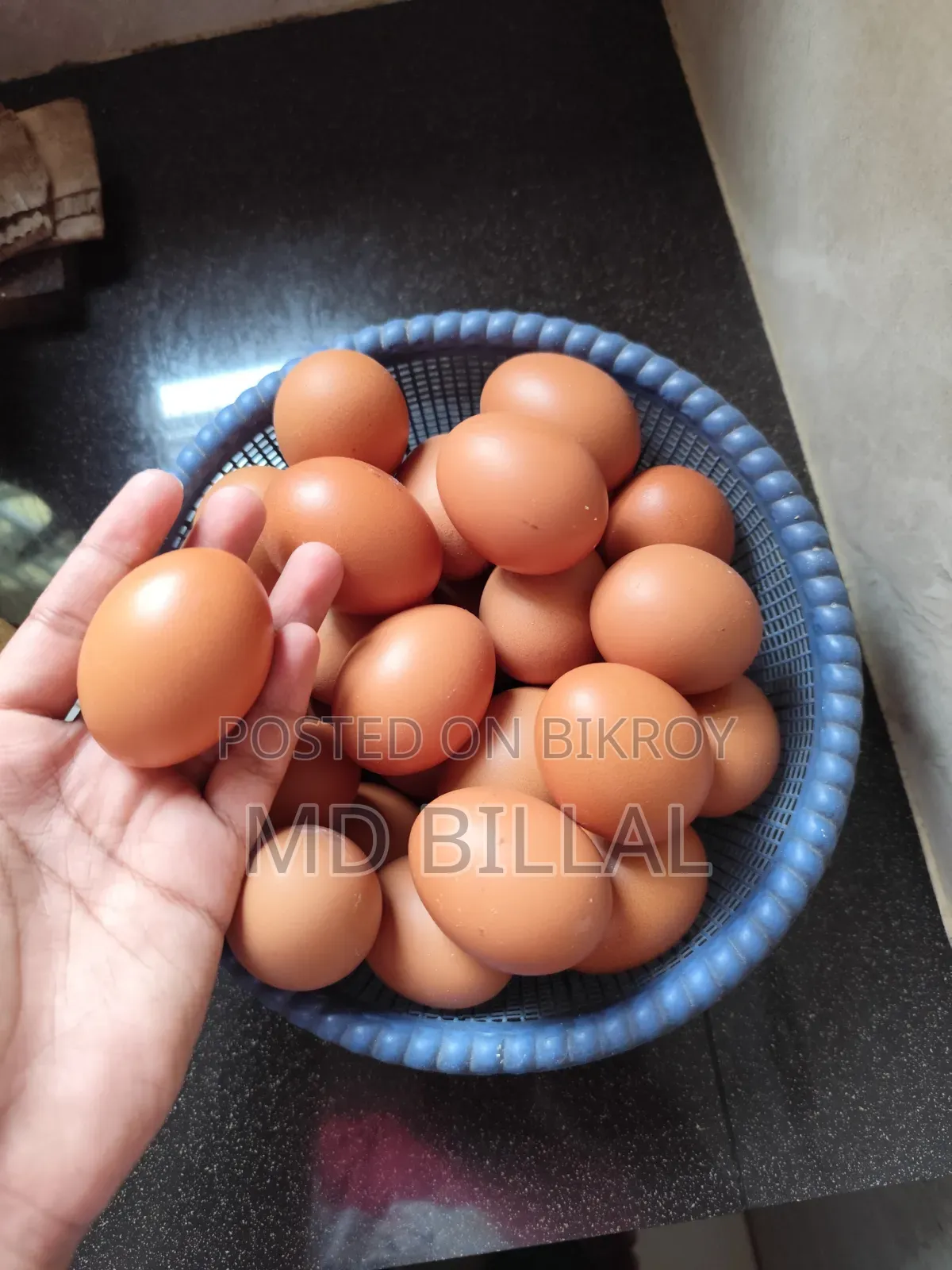 লাল লেয়ার মুরগির ডিম