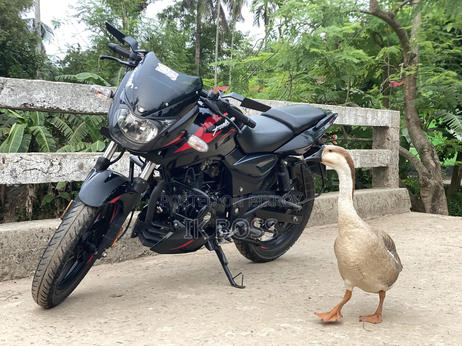 Bajaj Pulsar 150 2023 Black