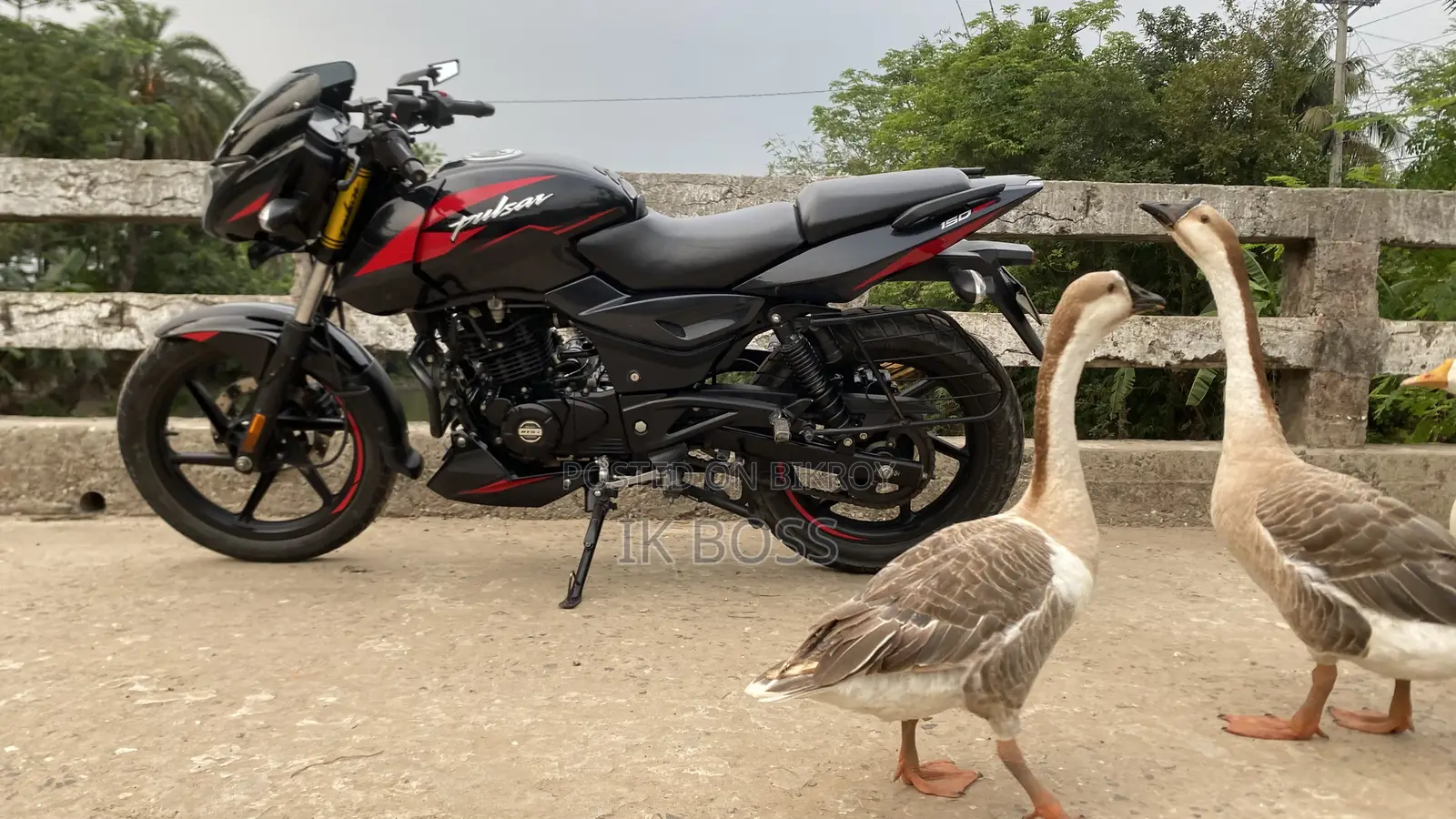 Bajaj Pulsar 150 2023 Black