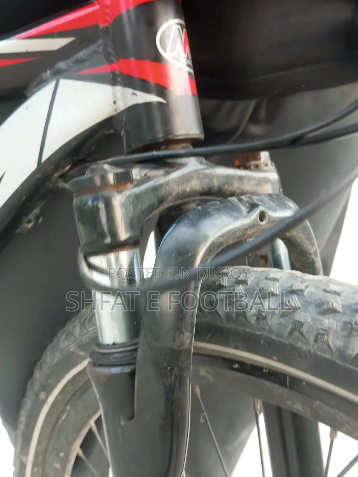 XML Cycle 29er