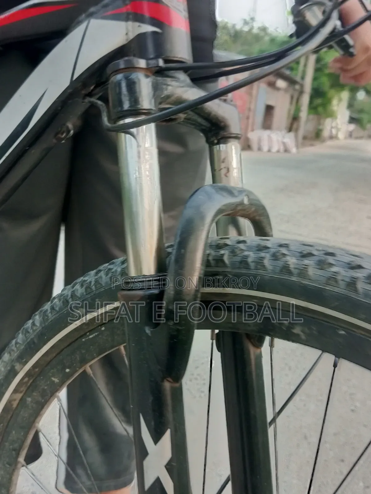 XML Cycle 29er