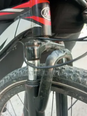 XML Cycle 29er