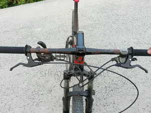 XML Cycle 29er