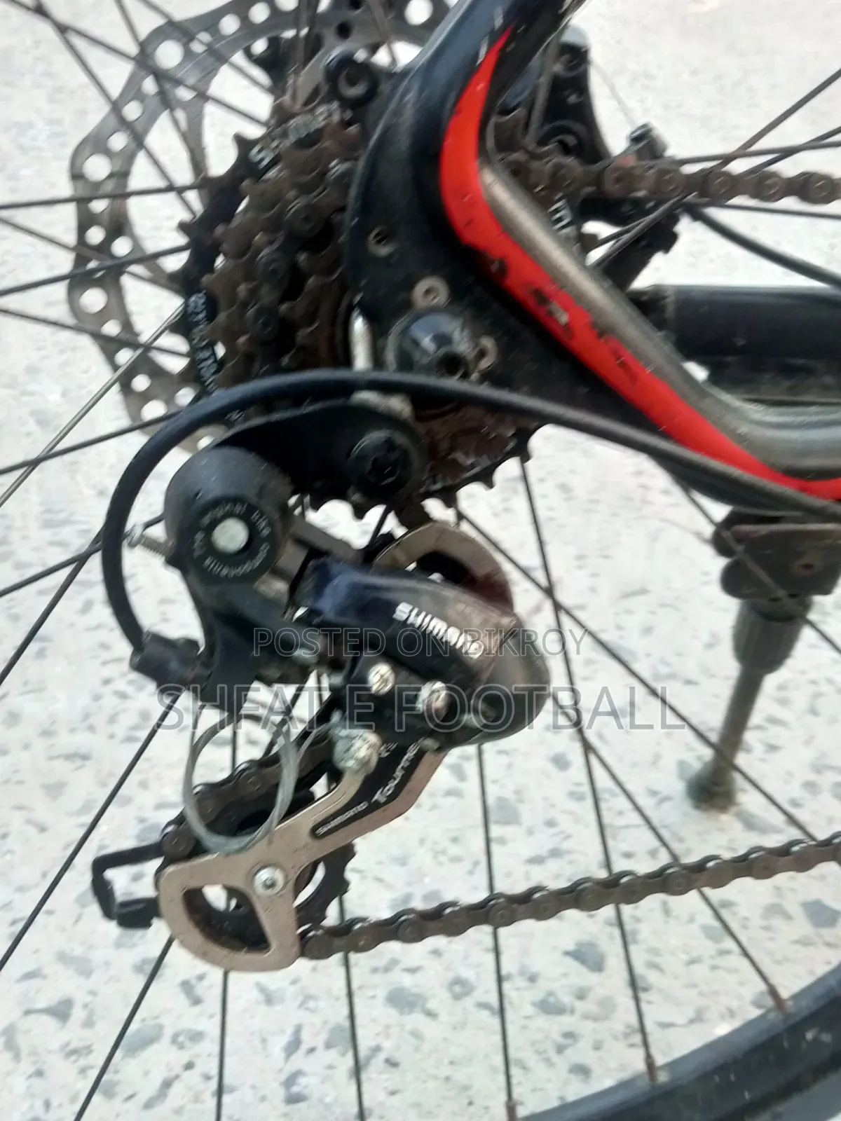 XML Cycle 29er