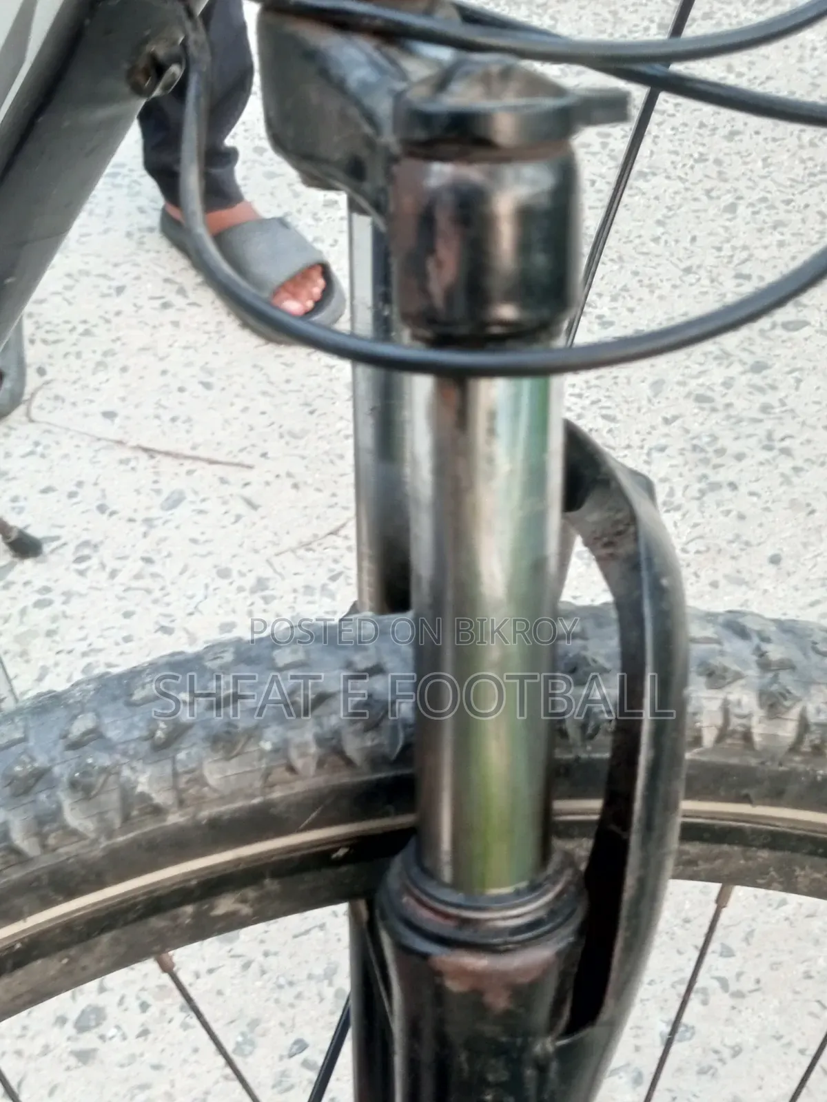 XML Cycle 29er
