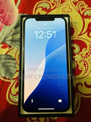 অ্যাপল আইফোন ১২ প্রো ম্যাক্স ২৫৬ জিবি ব্লু