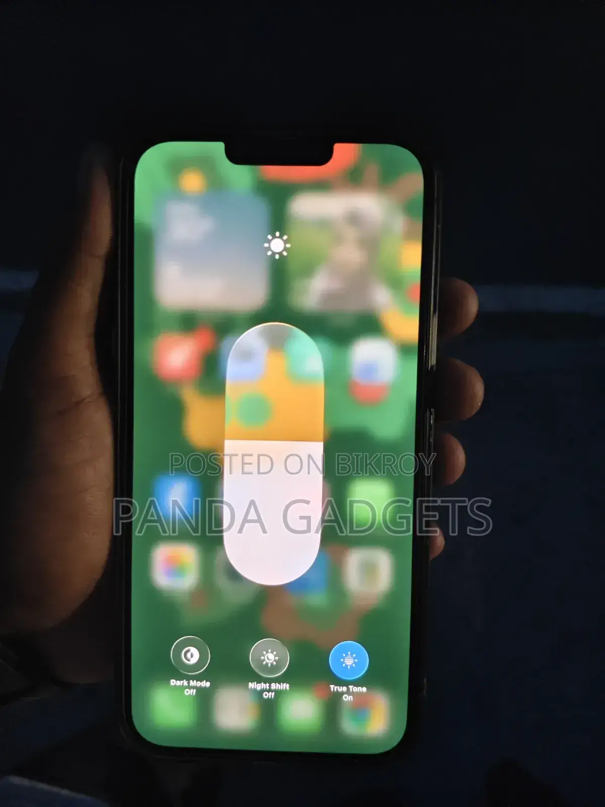 Apple iPhone 13 Pro Max 256 GB Green