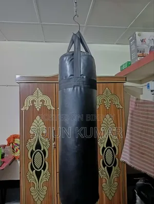 Boxing Bag and Boxing Gloves