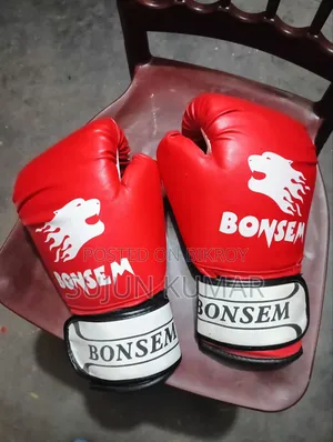 Boxing Bag and Boxing Gloves
