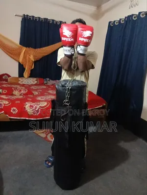 Boxing Bag Boxing Gloves