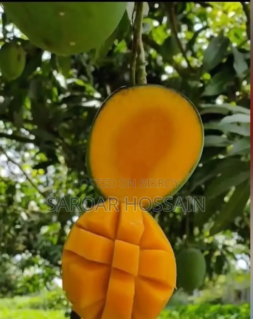 মৌসুমী ফরমালিন মুক্ত ফ্রেশ আম