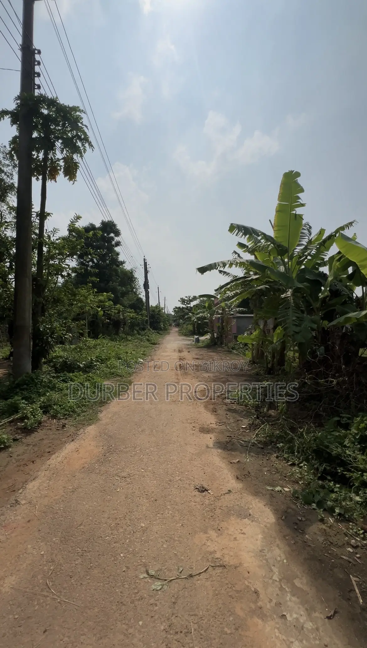 ৫ কাঠার দক্ষিণমুখী প্লট জরুরি ভিত্তিতে বিক্রয়