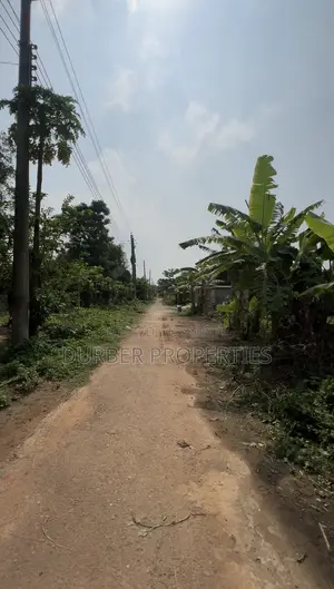 ৫ কাঠার দক্ষিণমুখী প্লট জরুরি ভিত্তিতে বিক্রয়