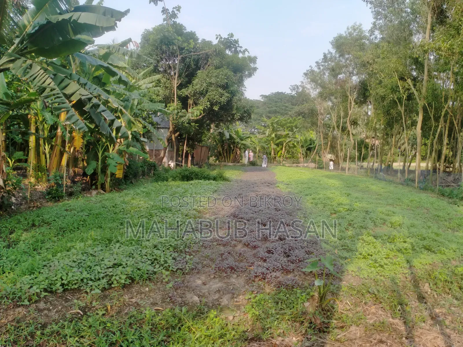 8 Katha land for urgent sale in Gazipur City.