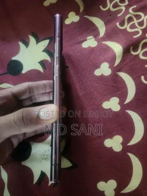 Samsung S22 Ultra Display Oled