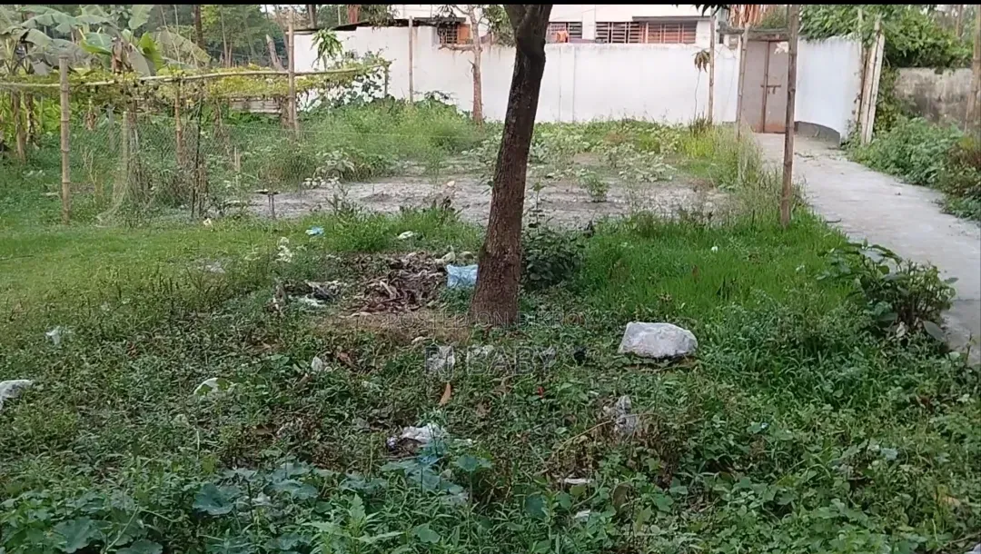 Residential Land 5 Katha for Sale Together