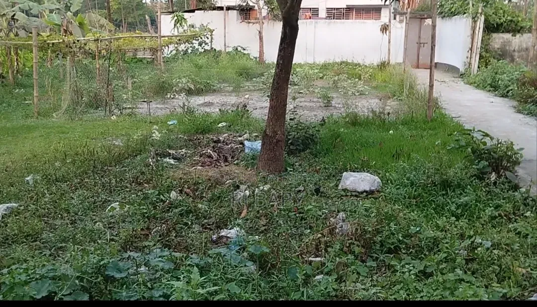Residential Land 5 Katha for Sale Together