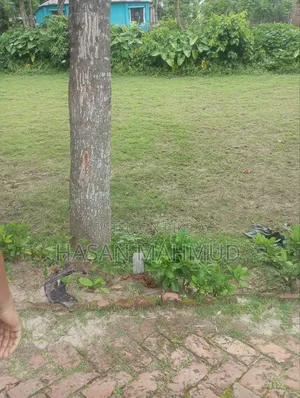 জমি বিক্রয়