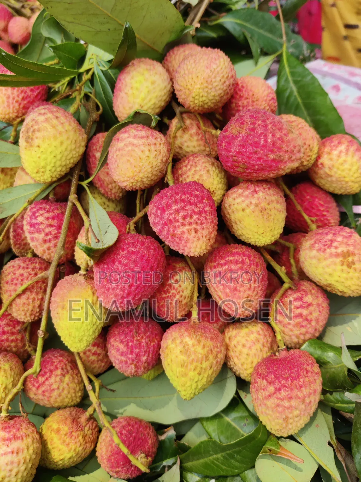 High-Quality Litchi