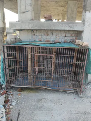 কবুতরের খাঁচা