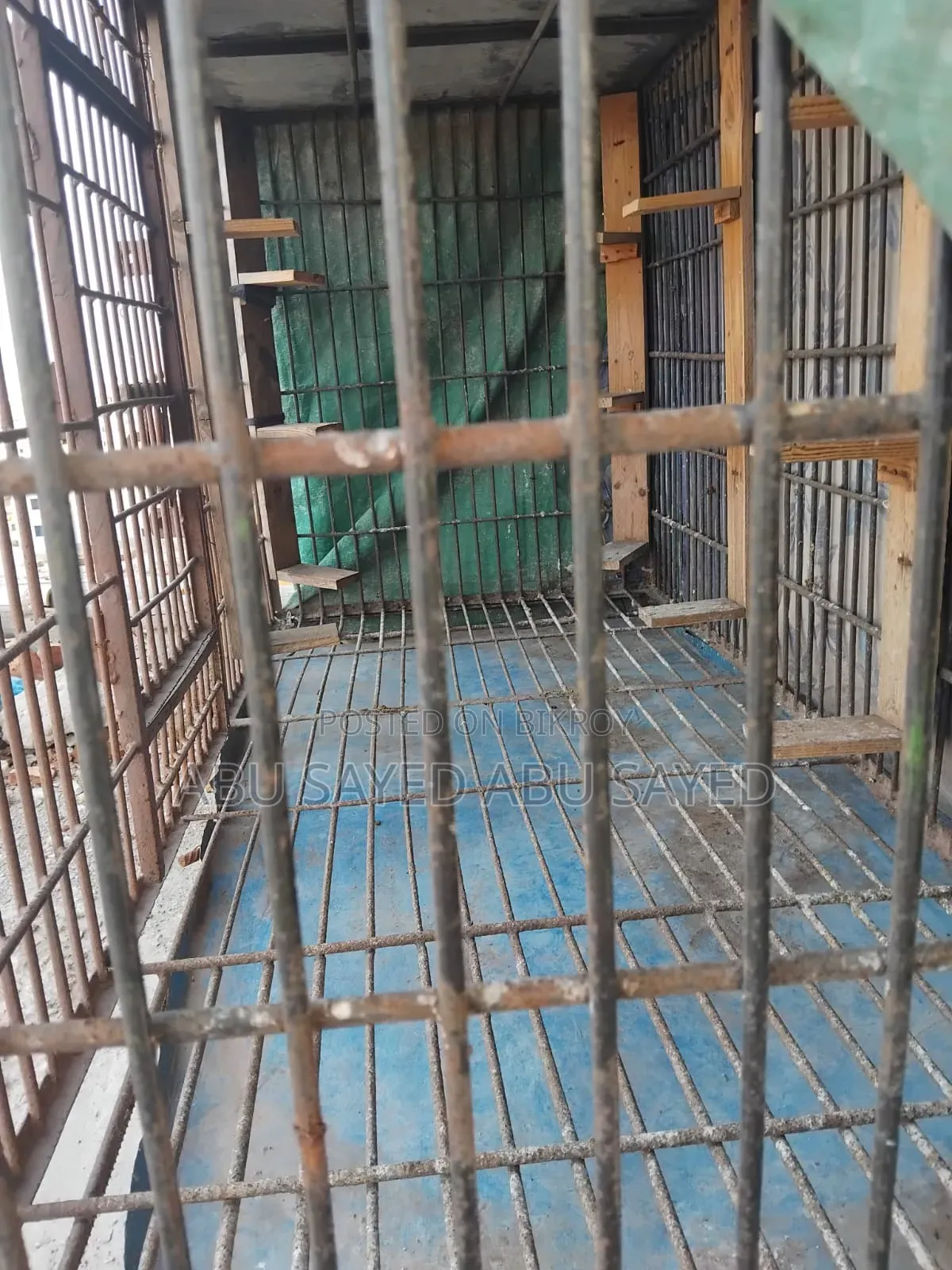 কবুতরের খাঁচা