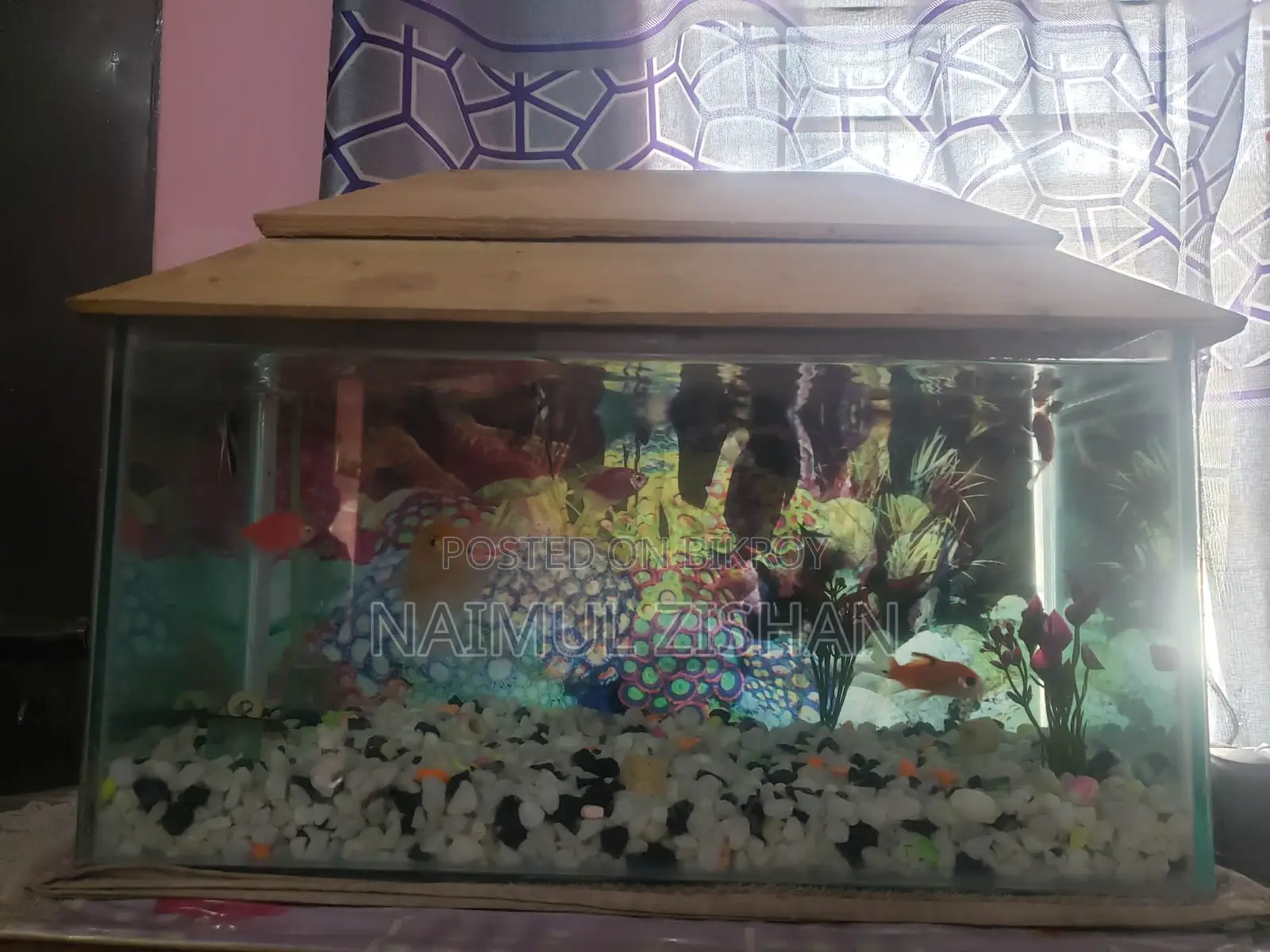 Aquarium | Used Aquarium