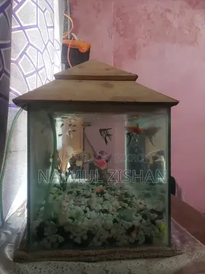 Aquarium | Used Aquarium